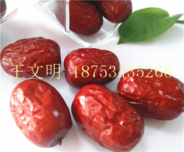 新疆大枣皮皮枣批发价格多少钱  新疆大枣厂家  新疆大枣代加工  新疆大枣供应商