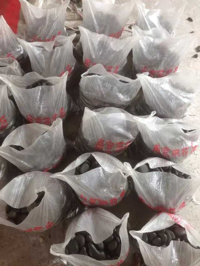 华蓥黑卵石怎么用  白色鹅卵石  白色雨花石