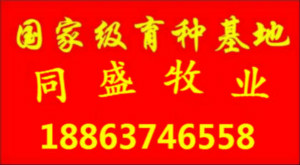 嘉祥县同盛养殖专业合作社