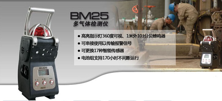 BM25气体监测仪厂家&nbsp;&nbsp;英思科&nbsp;&nbsp;气体检测仪