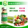 全网第一大蒜专用益生菌正规厂家原菌茌平成武安丘邳州