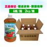 大棚大蒜蒜苗蒜黄专用益生菌抗病促长金乡兖州漕河莱芜