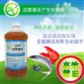 养龙虾专用净化水质催肥促长生物菌荆门江武汉潜江荆州