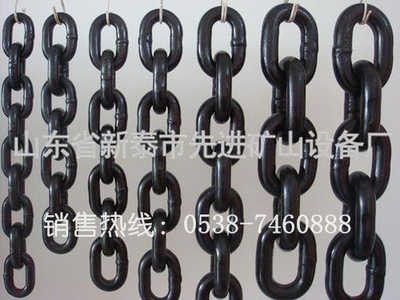 提升機(jī)鏈條供應(yīng)廠商