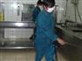 西安灭蟑螂公司 西安高新区灭跳蚤公司