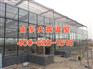 玻璃智能温室大棚建设