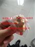 发动机K19传感器4061391/3015238康明斯传感器