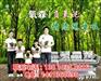 A硅藻泥，打造绿色环保家居,增强人体抵抗力释放负氧离子