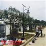 佰朗仕扬州太阳能路灯生产厂家