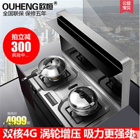 集成灶厂家 灶具 欧恒翻盖集成灶