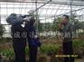 休闲观光农业场地/荣威种植园sel