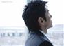为全国客户提供商书编制服务——济南远翔神思