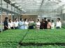 值得信赖的蔬菜种植技术员培训推荐——一流的蔬菜种植技术员培训