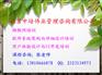 广州详细设计与系统架构实践培训公开课