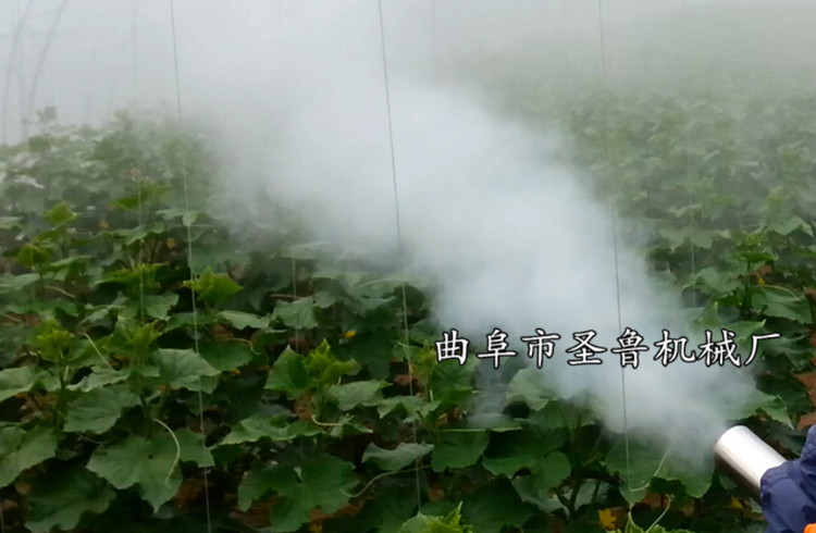 果园弥雾机 手提式大棚弥雾机