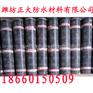 运城防水材料批发市场，长期生产供应优质圣龙牌sbs