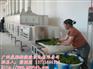 微波茶叶杀青机