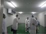 四川蔬菜保鲜库 四川水果保鲜库 四川果蔬冷库安装 四
