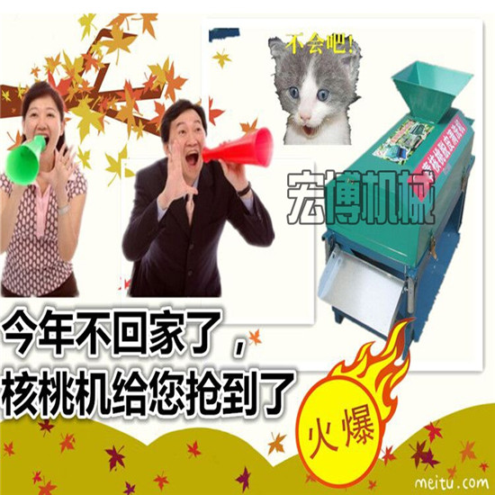 品质有保证核桃脱皮机 小型青核桃剥皮清洗一体机 厂家直销剥壳