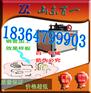 方管圆管角度平台折弯机 平台弯管机厂家
