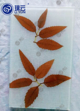 石家莊精準(zhǔn)標(biāo)本 玻璃夾膠 標(biāo)本制作 加盟 家具建材