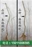 简单种植韩国枸杞苗保成活