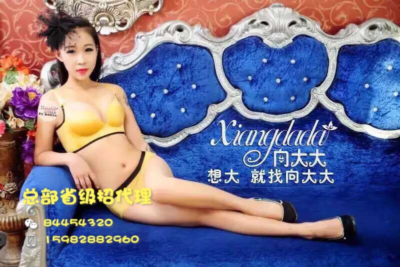 厦门华博基尼内衣有限公司  华博基尼内衣公司  向大大华博基尼