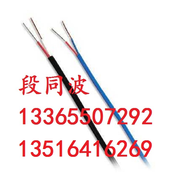 氟塑料耐高温屏蔽补偿导线EX-HB-FVRP 耐高温补偿导线
