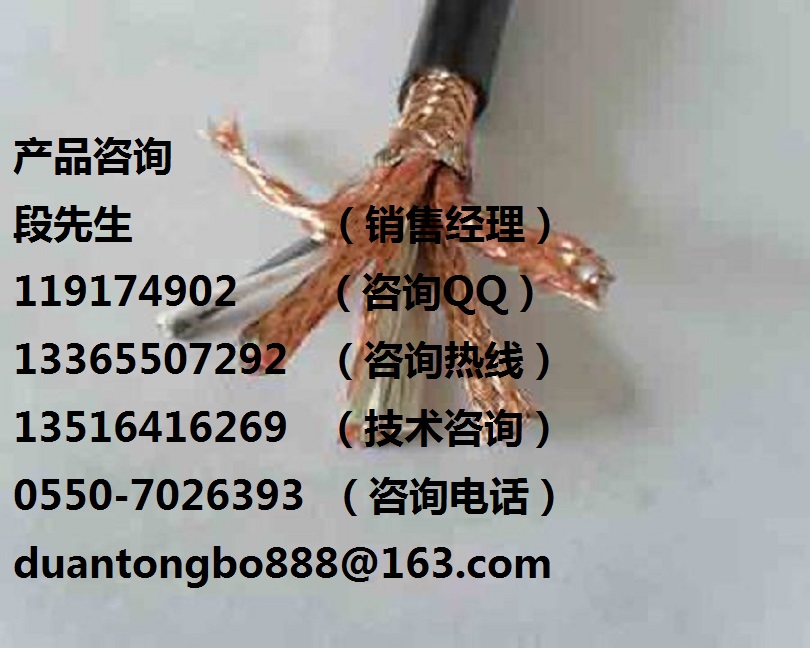 阻燃计算机屏蔽电缆&nbsp;&nbsp;计算机电缆&nbsp;&nbsp;阻燃计算机电缆&nbsp;&nbsp;屏蔽计算机电缆