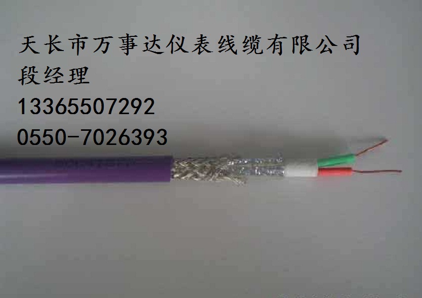 RS485-22-2*1.5铠装通讯电缆&nbsp;&nbsp;铠装电缆&nbsp;&nbsp;RS485电缆