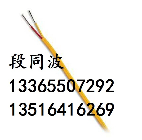 ZR-EX-GVVP、KX-GBVVPR热电偶补偿导线&nbsp;&nbsp;屏蔽补偿导线