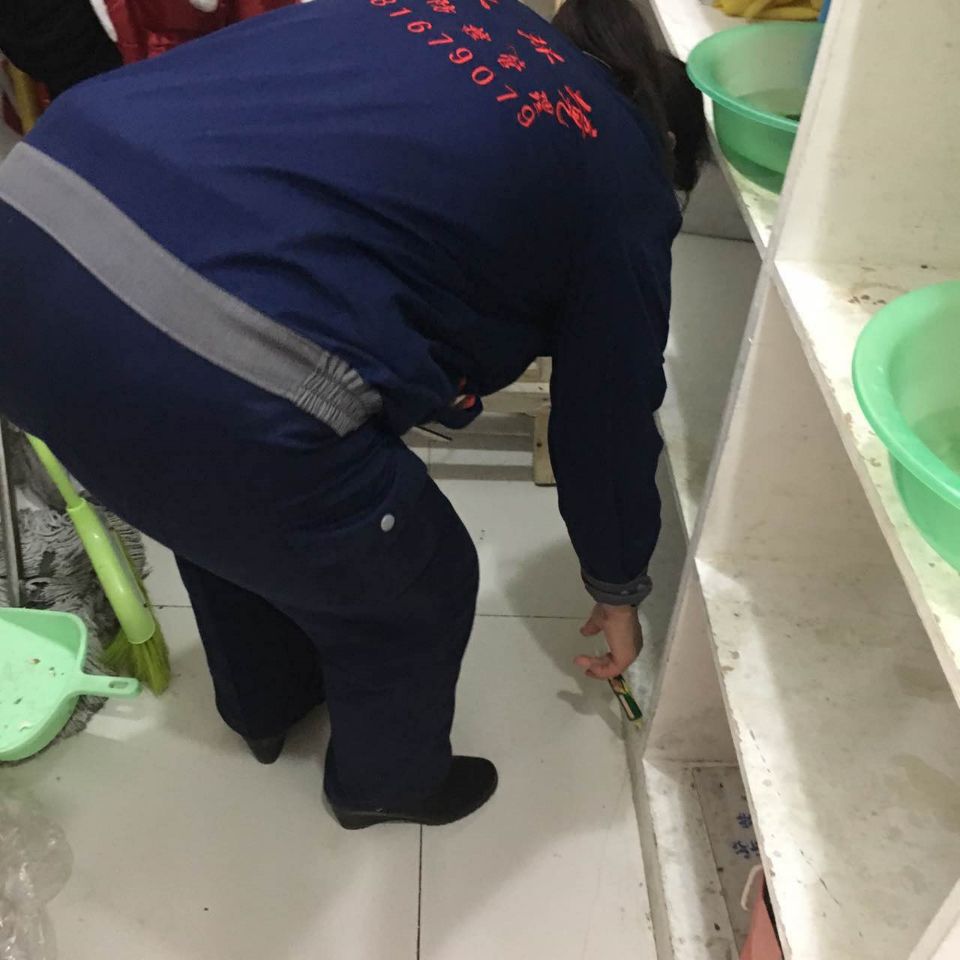 德州專業(yè)滅老鼠殺蟲公司