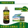 如何发酵生物有机肥种葡萄
