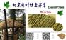 北京天然茅草瓦厂家直销青叶牌天然茅草材料