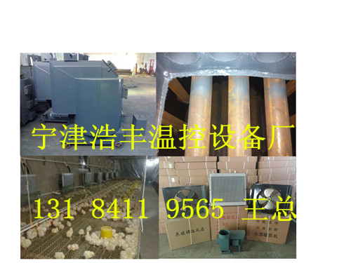 养殖专用锅炉价格，养殖锅炉厂家  鸡舍专用锅炉