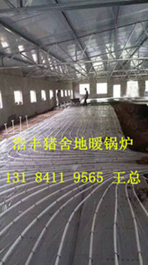 地暖猪舍锅炉安装，猪舍地暖锅炉效果好  猪舍专用锅炉