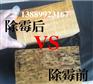 木材除霉剂 木材除蓝变剂