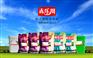西门塔尔犊牛预混料