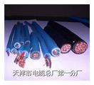 天津市电缆总厂第一分厂
