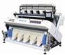 安徽捷泰智能科技JTDM-CCD240大米色选机