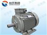 澳门节能电机：供应西安划算的YE3超高效节能新型电动机