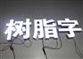 LED树脂发光字