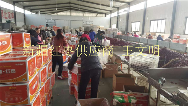 新疆红枣产地厂家批发销售各种大枣  新疆红枣批发  新疆红枣供应商  新疆红枣厂家