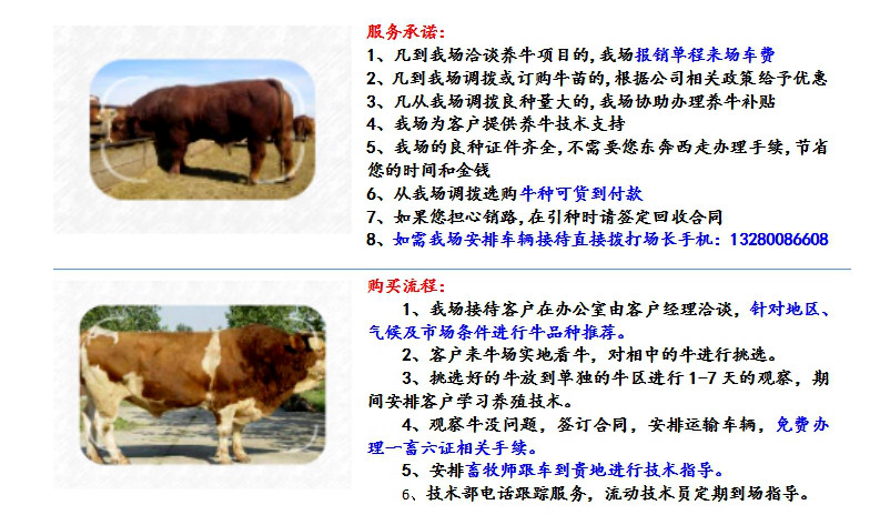 湖南岳阳养牛场在什么地方←图片