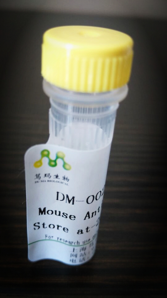 人内皮素1(ET-1)酶联免疫试剂盒