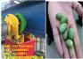 小型电动葫芦价格小型电动葫芦厂家