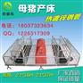 壁厚1.8非国标的母猪产床价格是多少
