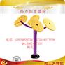 长沙小区扭腰器健身器材设施\学校力量型健身器材生产厂家