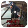 湖南省湖南省蛙人打撈隊*