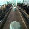 赤峰养牛饲料面包草制作机报价 固定式秸秆打包包膜机厂家